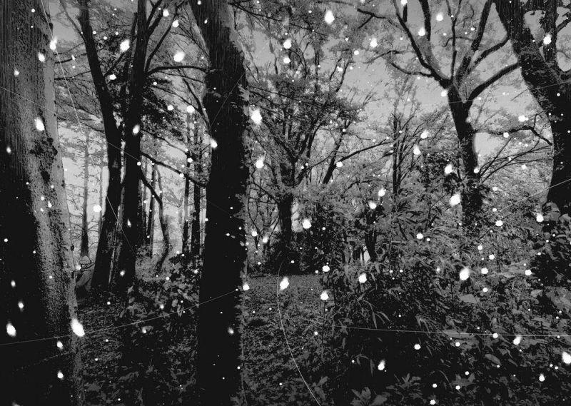 shin'ai naru boku e satsui wo komete chapter 75 12