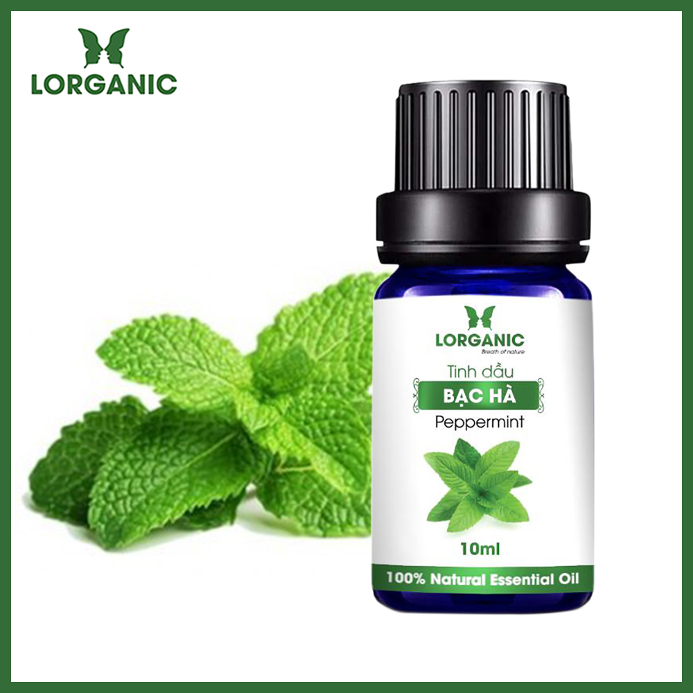 Tinh Dầu Bạc Hà Lorganic