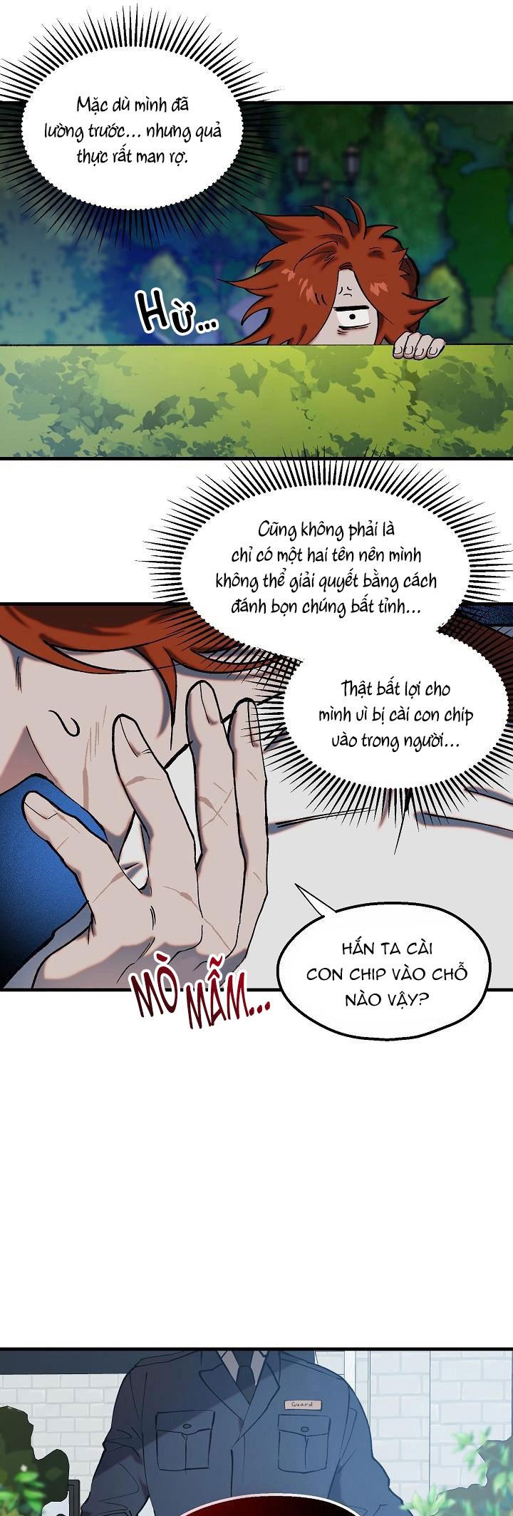 BA CHÚ HEO CON chapter 8