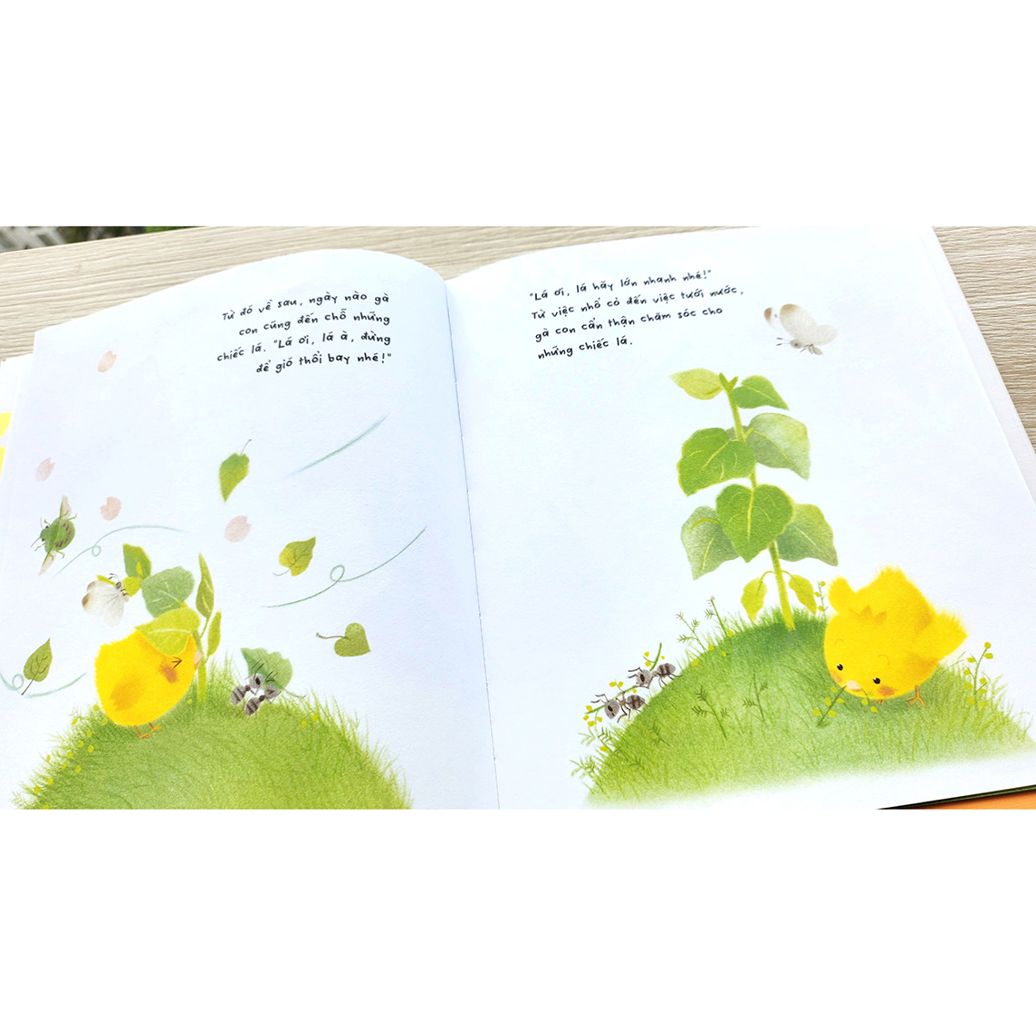 Sách Gà con và hoa hướng dương