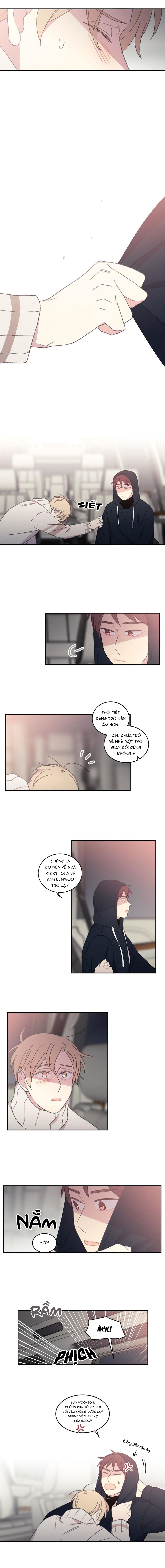 chẳng thể rời mắt khỏi cậu chapter 23 7