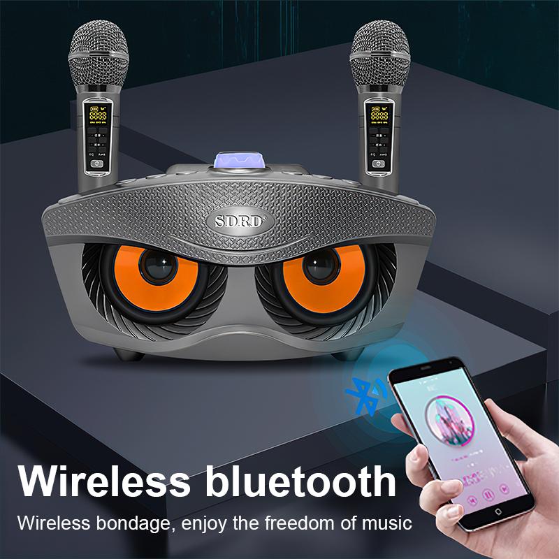 Loa Bluetooth Karaoke SDRD SD 306 Plus Bản Mới Nhất,Kèm 2 Micro Karaoke Không Dây,Chất Lượng âm Thanh Tuyệt Vời