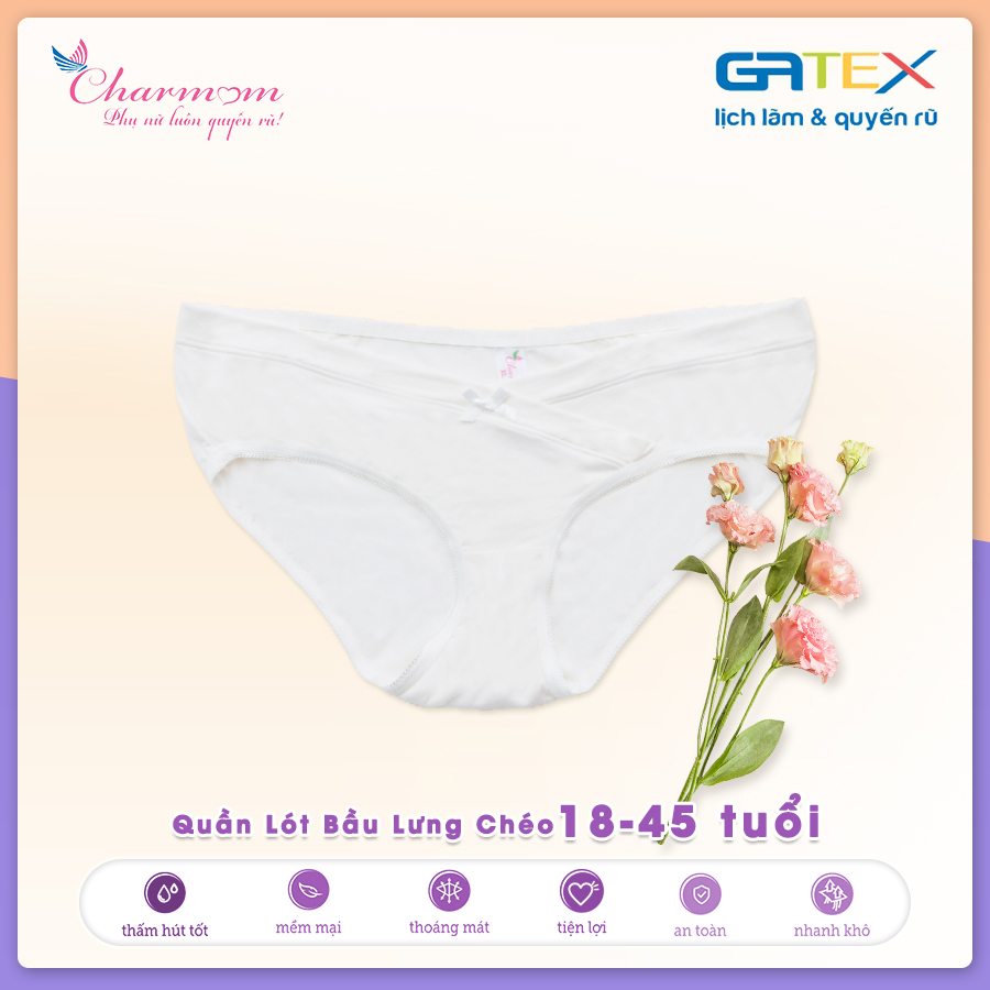 Set Combo 2 Quần Lót Bầu Lưng Thấp GATEX Cotton Cao Cấp Charm Mum