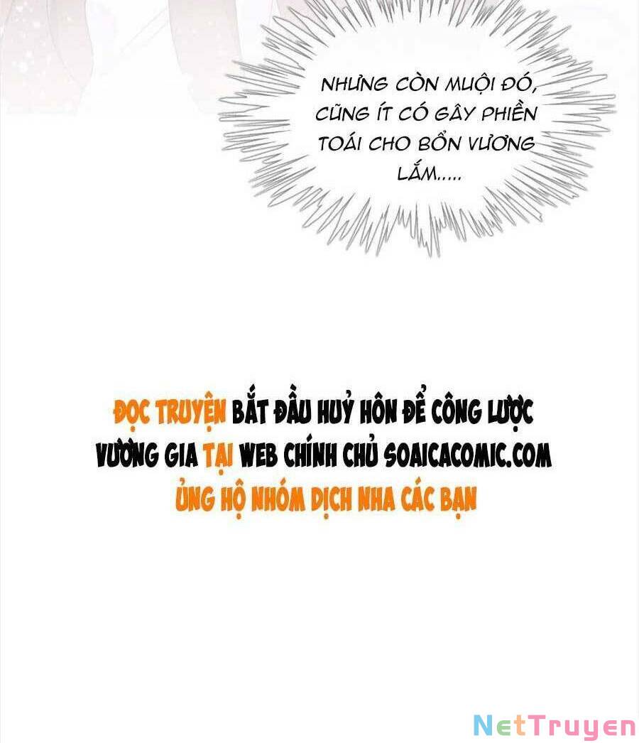 bắt đầu hủy hôn để công lược vương gia chapter 49 73