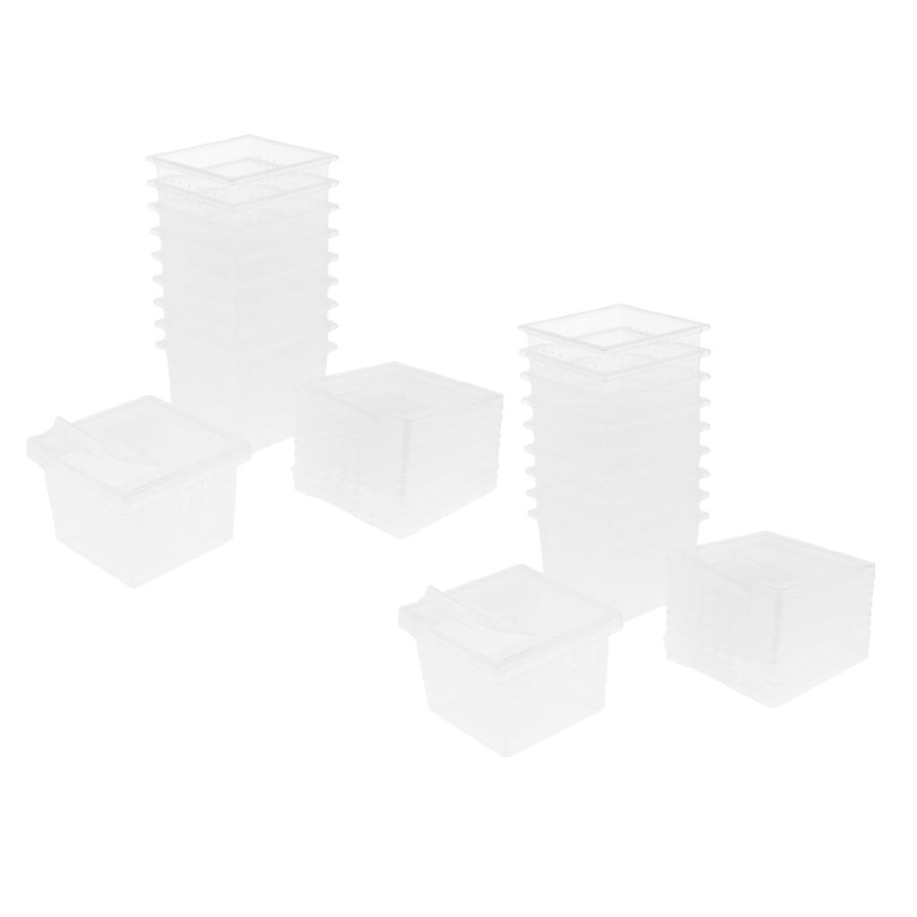 20 Pcs Reptile Food Water Feeder Feeding Spider Basin Insect Turtle Breeding