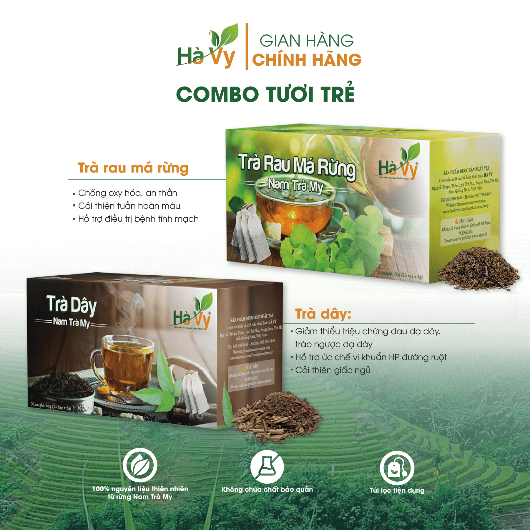 Combo Trà Rau Má Rừng &amp; Trà Dây Nam Trà My Hà Vy hỗ trợ làm đẹp da, mát gan, hỗ trợ cải thiện sức khoẻ dạ dày, tá tràng hiệu quả (set 2 hộp trà túi lọc)