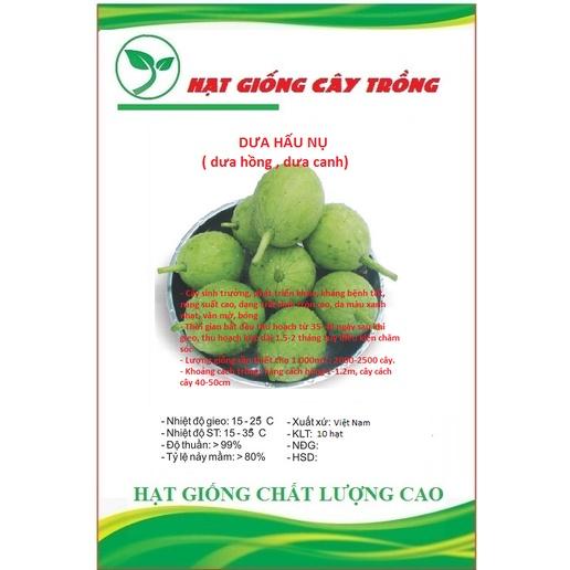 Hạt giống dưa hấu nụ - dưa hồng - dưa canh CT82 - Gói 10 hạt