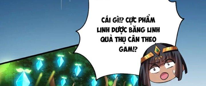 ẩn cư mười vạn năm, đời sau mời ta rời núi chapter 46 48