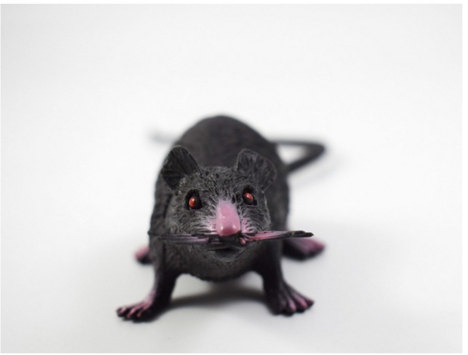 [COMBO 2 Sản Phẩm] Mô hình con chuột bằng nhựa mềm, kích thước 22cm - Đồ trang trí, quà tặng độc đáo cho bé