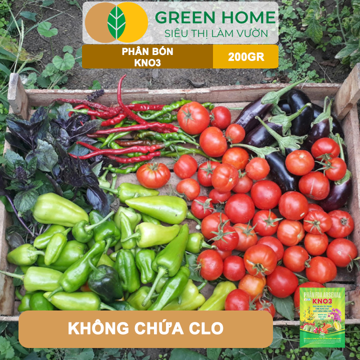 Phân Bón Lá KNO3 GreenHome, Gói 200gr, Nguyên Liệu Nhập Khẩu Israel, Kích Hoa, Đậu Quả Tốt