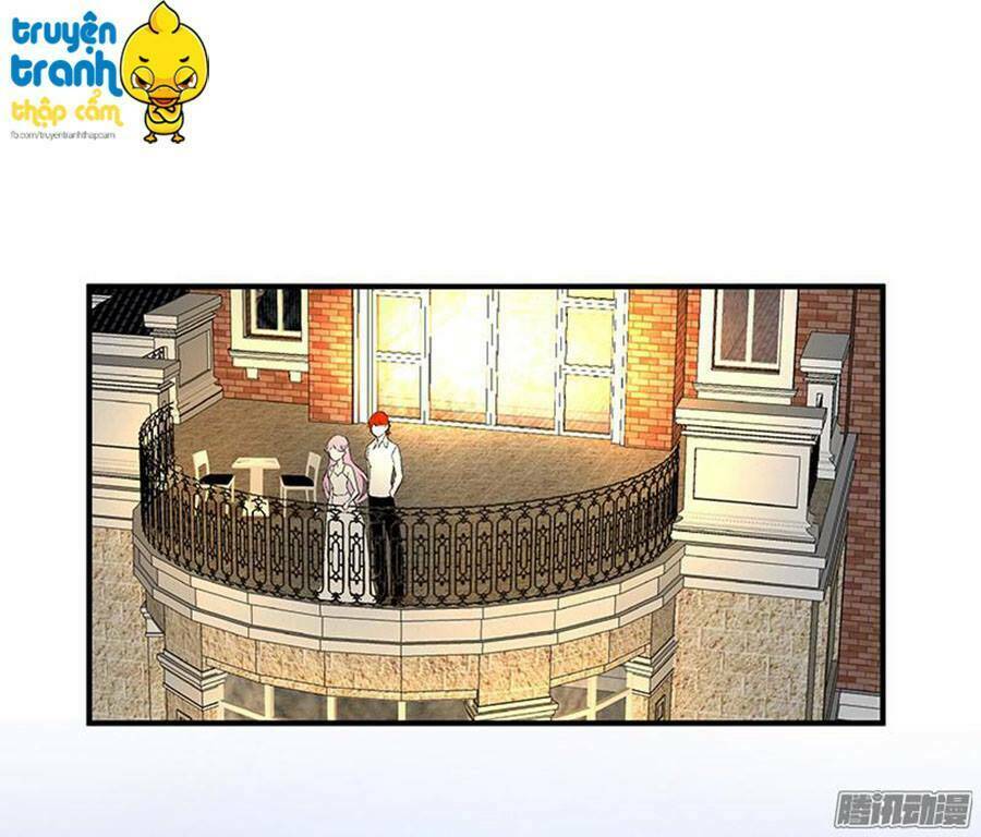 cường sủng hào môn tiểu manh thê chapter 17 23