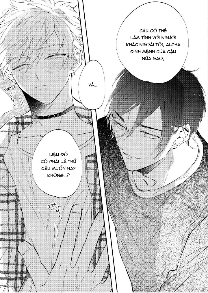 Hãy Ly Hôn Đi, Ngài Alpha chapter 1.2 - Trang 11