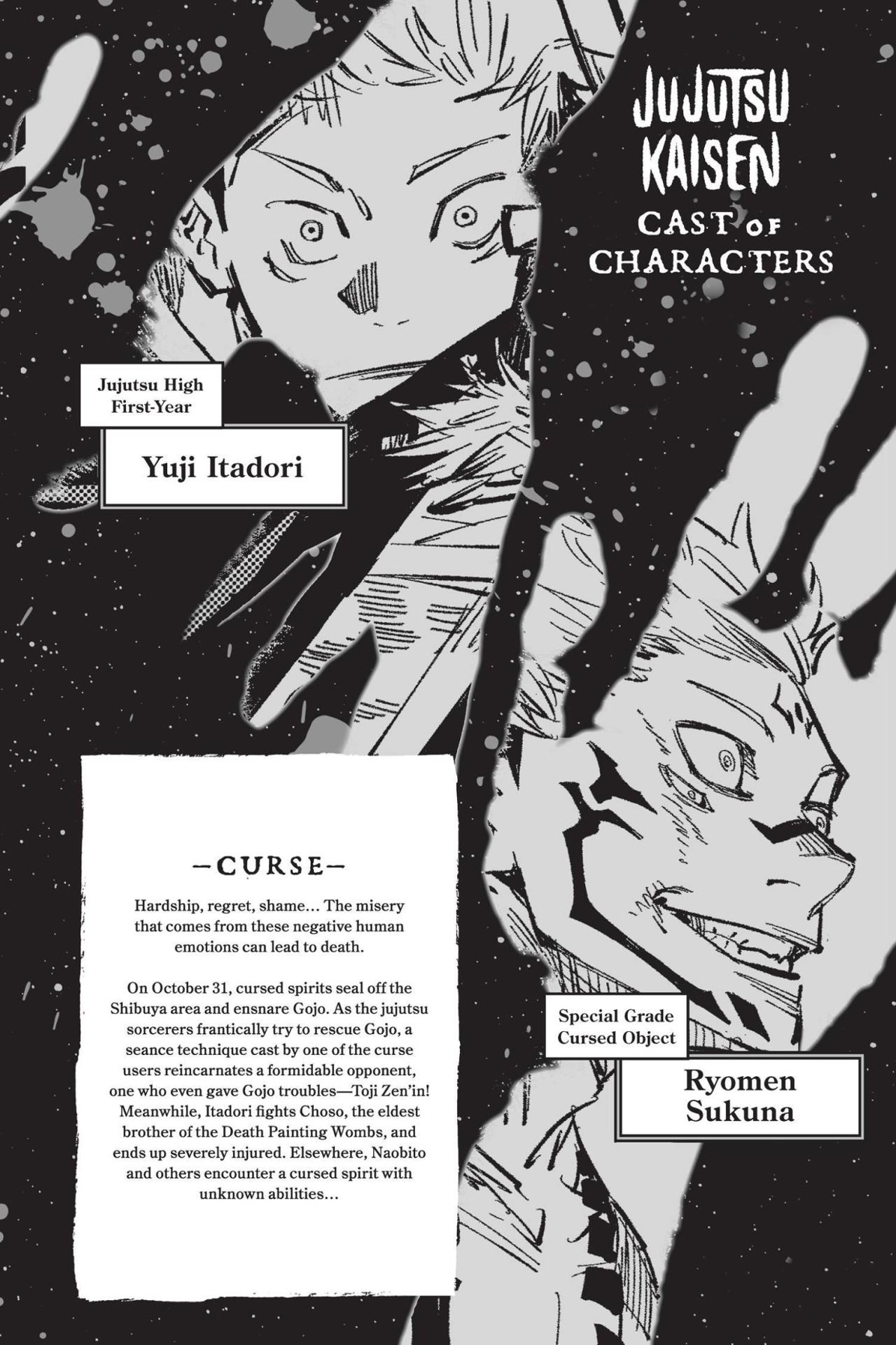 Jujutsu Kaisen 13 (English Edition)