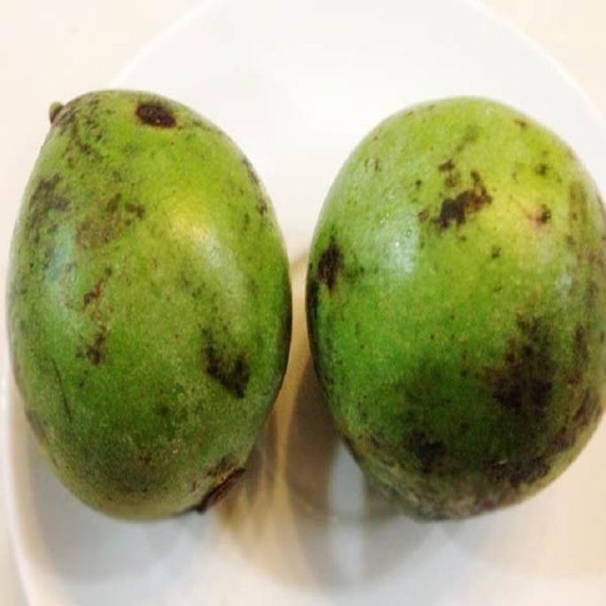 CÂY QUẢ DỌC NẤU CANH CHUA CHUẨN GIỐNG F1