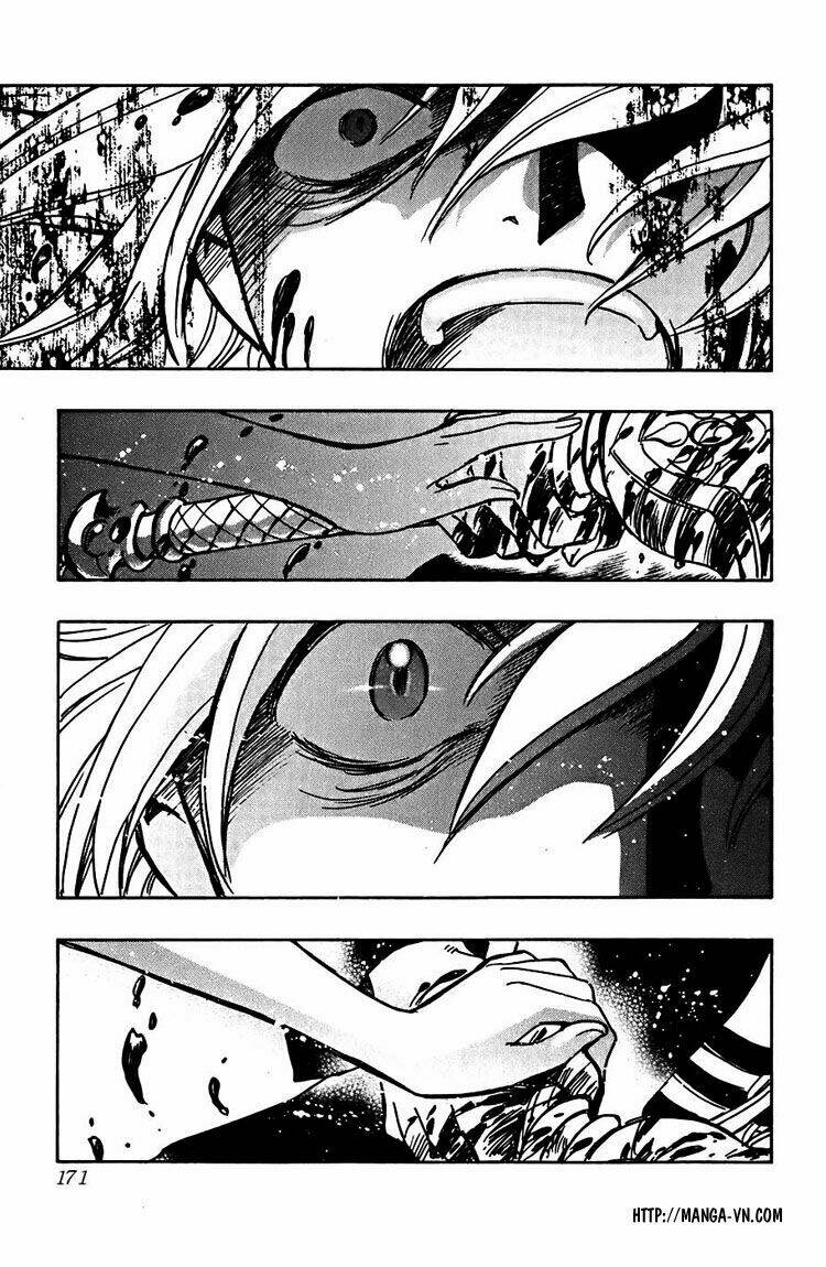 huyền thoại đôi cánh chapter 149 11