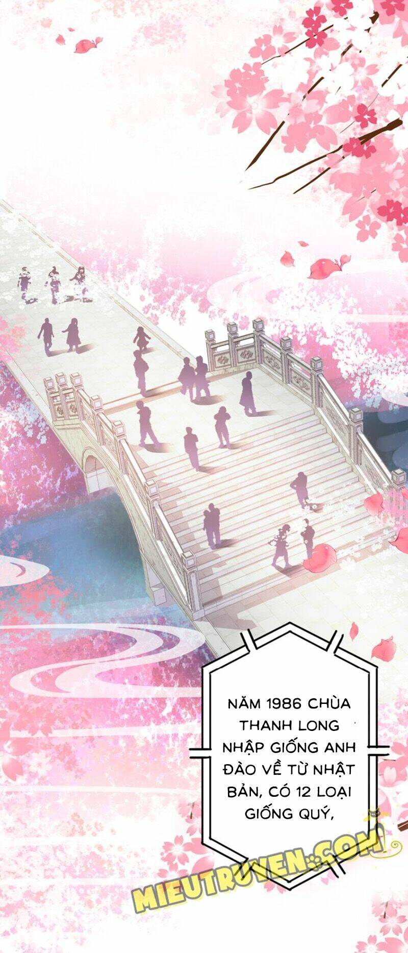 nhất sinh nhất thế mỹ nhân cốt chapter 4 7