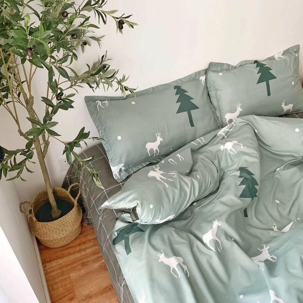 Bộ cotton poly cây thông xanh