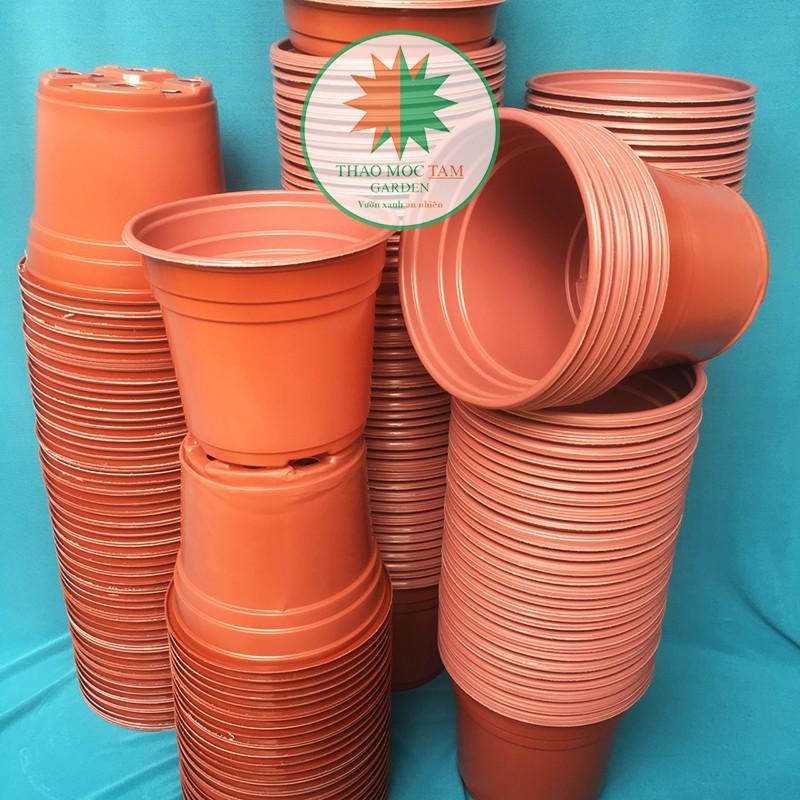 10c Chậu nhựa trồng hoa 15x12.5cm - Chậu chuyên trồng hoam dâu tây nhà vườn