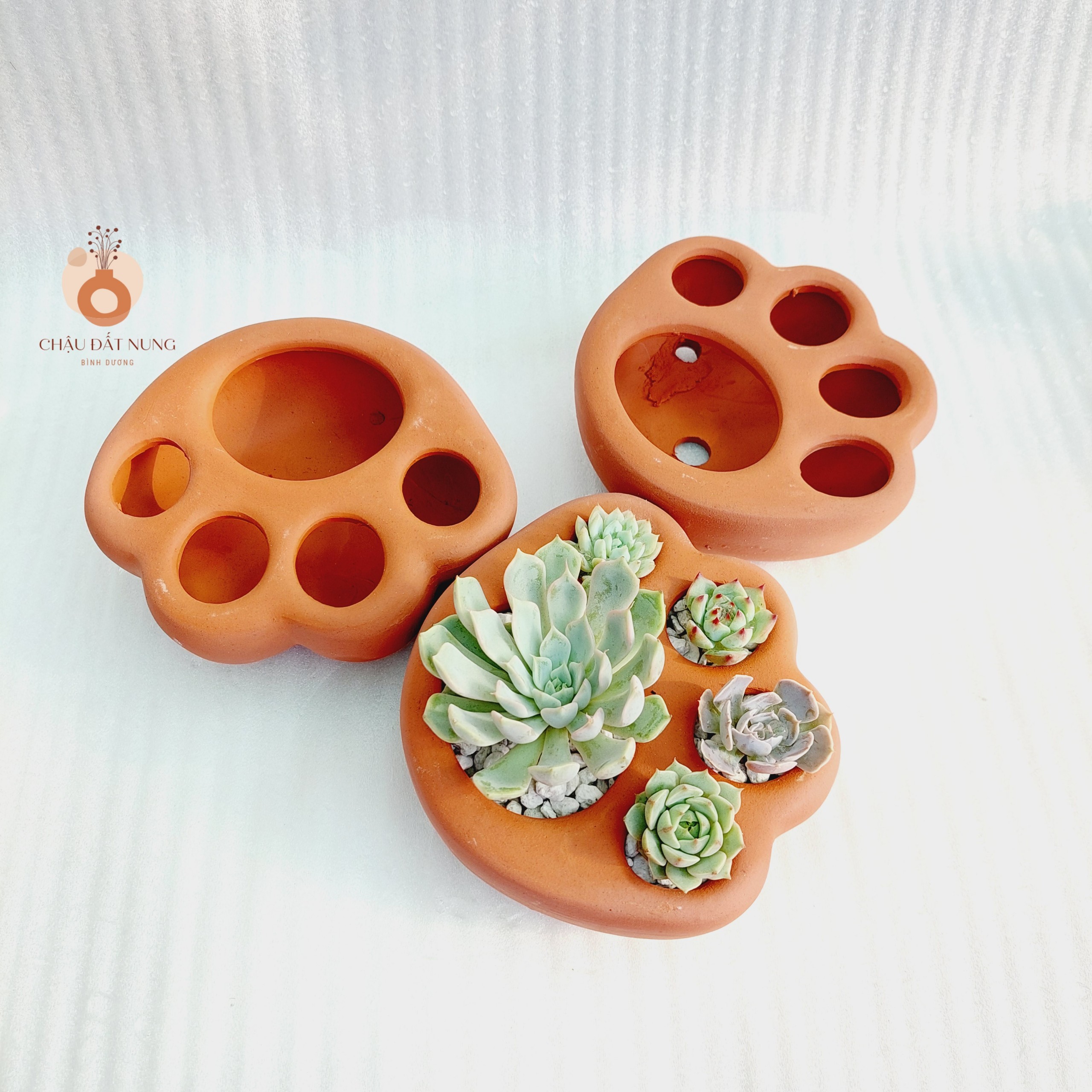 Chậu đất nung Bình Dương - Chân chó, đường kính lỗ 3-4cm, đường kính bàn chân 7-8cm, chiều cao 4.5cm