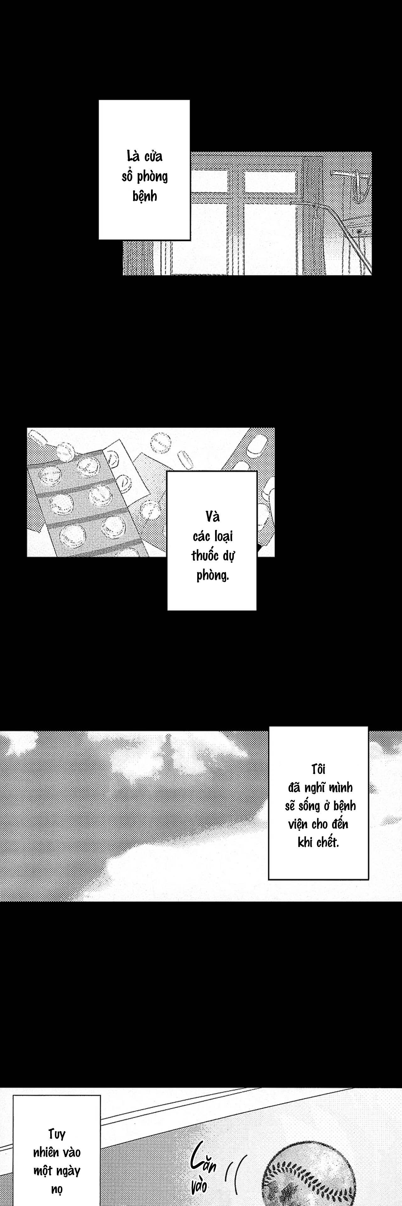 tái sinh thành một omega chapter 9 8