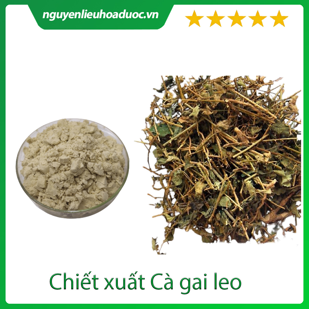 Cao khô Cà gai leo - Biogreen 50g, 100g - Bổ gan, giải độc, hạ men gan