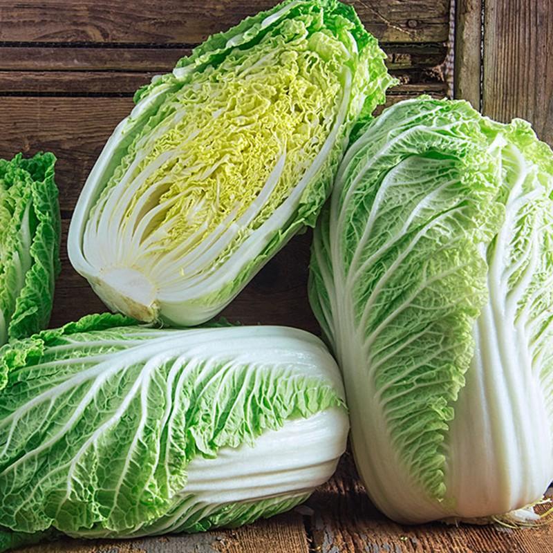 COMBO 8 gói rau cải dễ trồng-tặng kèm 1 phân bón