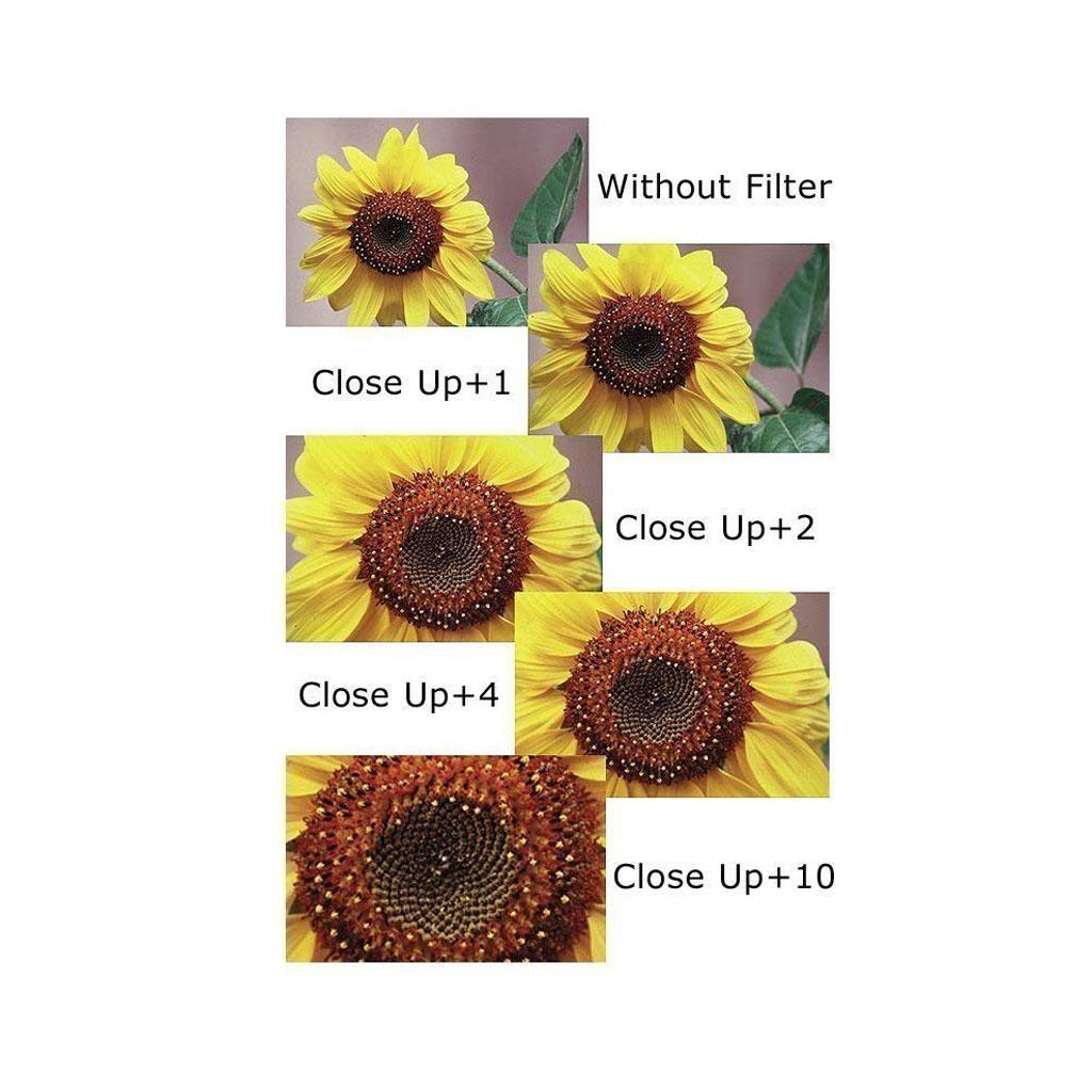 Close Up Macro Lens Filter Set Kit 58mm 67mm 77mm +1 +2 +4 +10 Flowers Insects Photography Comes with Storage Bag