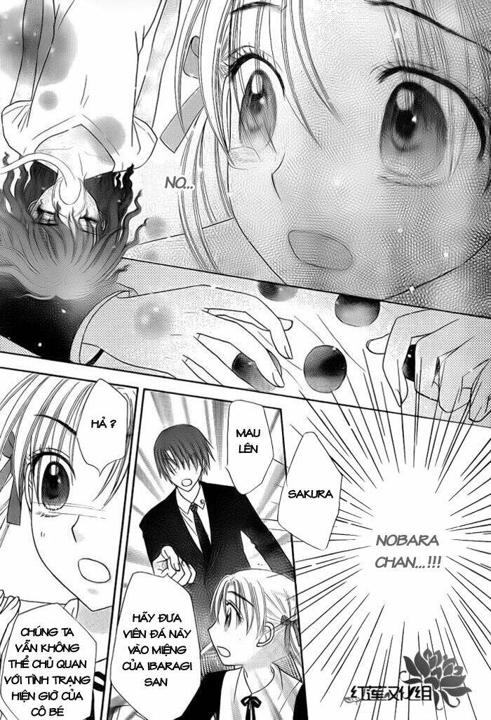 gakuen alice chapter 156 7