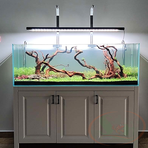 Đèn led Week RGB UV Pro P series P600, P900, P1200 quang phổ bể thủy sinh cá tép cảnh