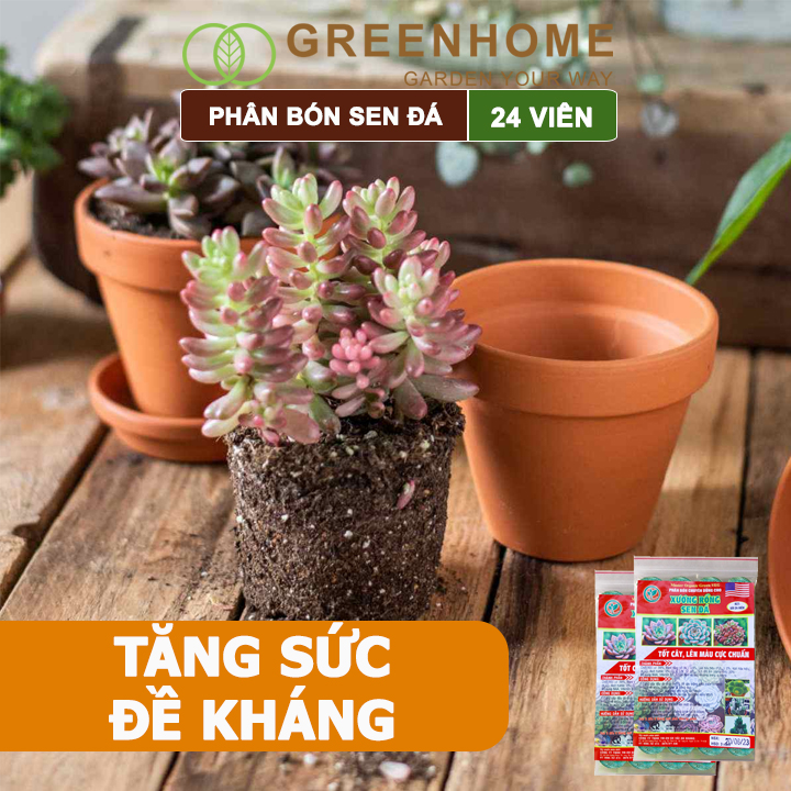 Phân bón sen đá Greenhome, dùng cho xương rồng, cây mọng nước, kích rễ, lên màu chuẩn