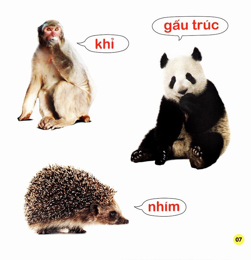 100 Từ Đầu Đời Của Bé: Con Vật (Tái Bản 2023)