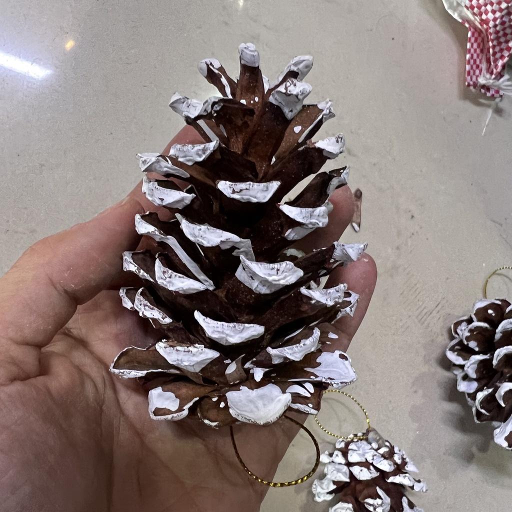 Sỉ 1kg 70 quả thông phủ tuyết decor trang trí Noel làm vòng nguyệt quế Giáng sinh