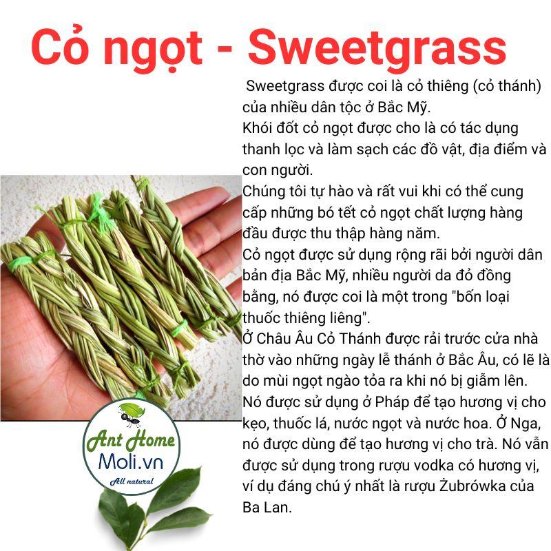 Cỏ thánh Sweetgrass Thanh tẩy nhà cửa - Đem lại may mắn