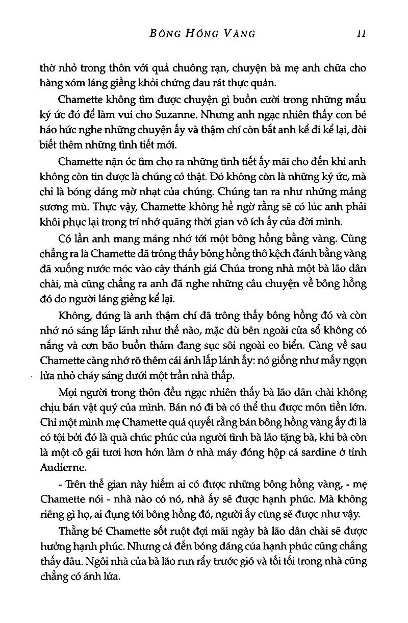 Bông Hồng Vàng Và Bình Minh Mưa