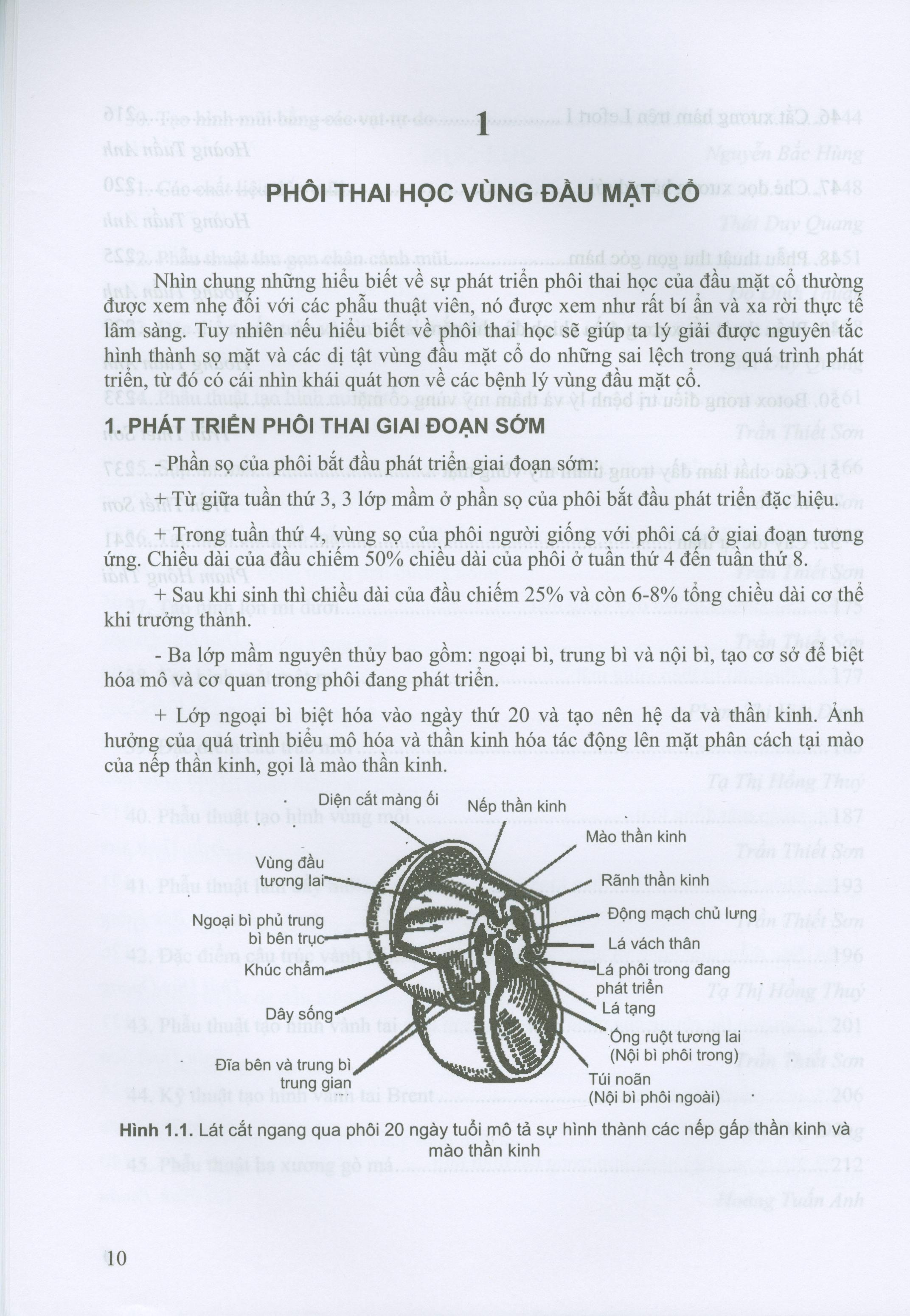 Các Vấn Đề Cơ Bản Trong Phẫu Thuật Tạo Hình Thẩm Mỹ (Phần III: Đầu Mạt Cổ)