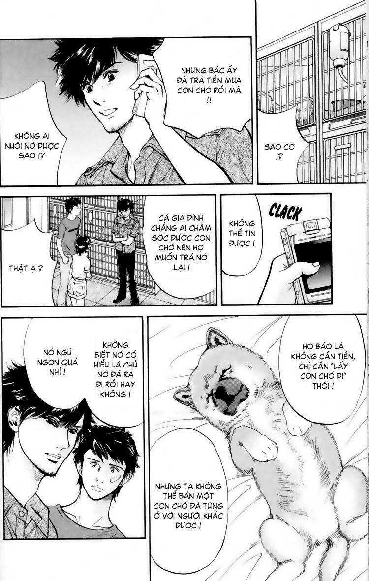 cô nàng yêu chó chapter 19 17
