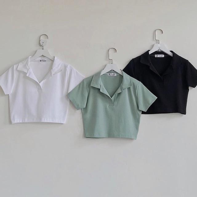 Áo croptop polo cổ bẻ trơn 4 màu
