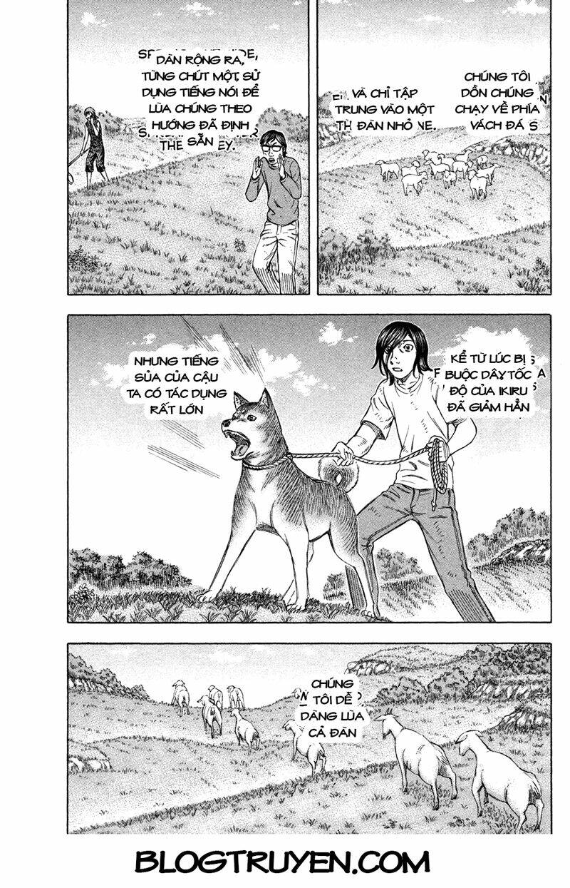 đảo tự sát chapter 62 11