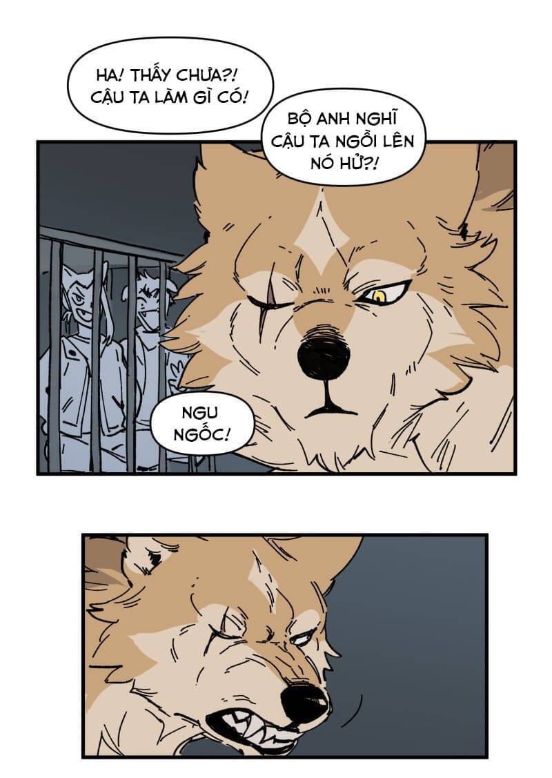 lumine - cội nguồn ánh sáng chapter 149 9