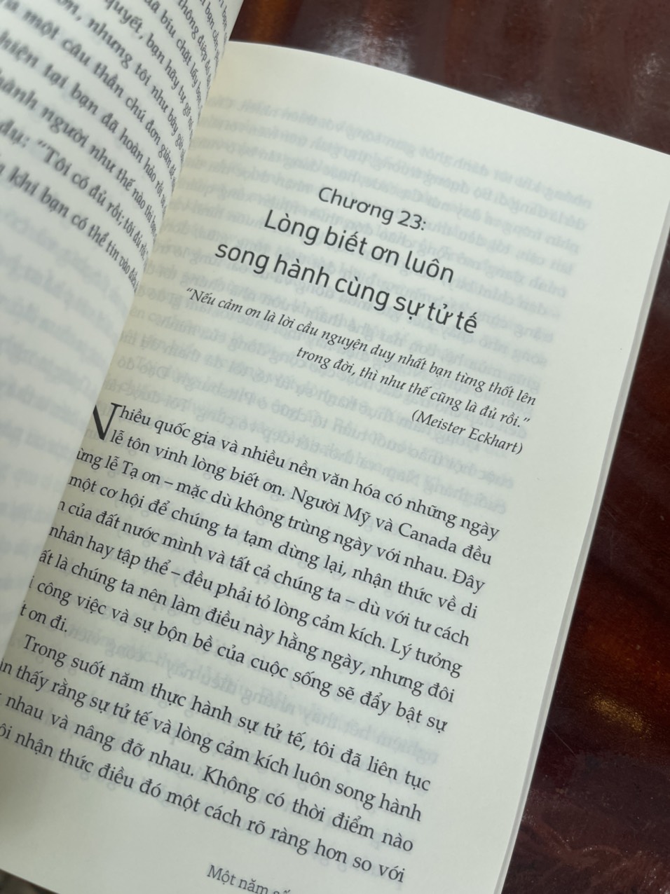 Hình ảnh MỘT NĂM SỐNG TỬ TẾ - Donna Cameron - Linh Vũ, Vũ Hà Thanh dịch – Nhã Nam - bìa mềm