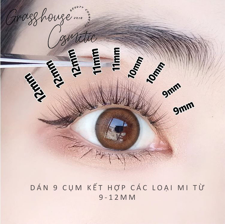 Lông Mi  Giả Tự Nhiên - Mi Rời Tự Nối