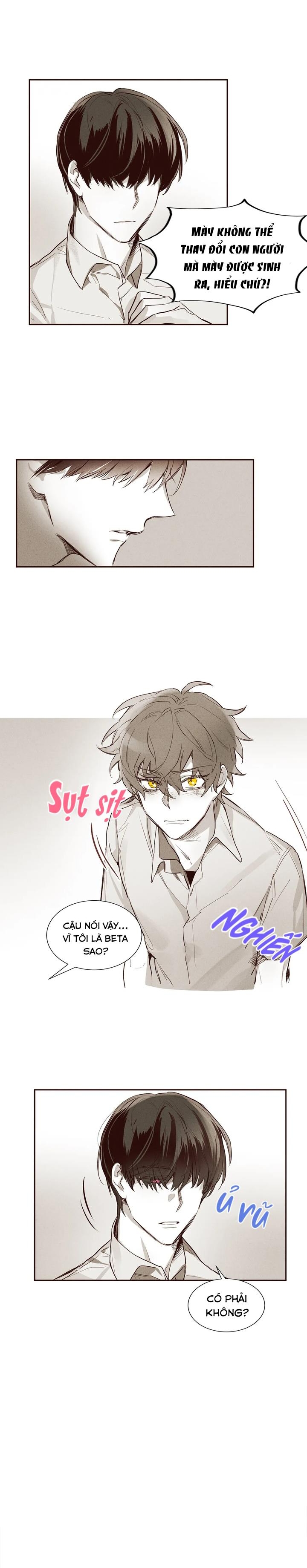 pheromone shower (chim nhại) chapter 4 12