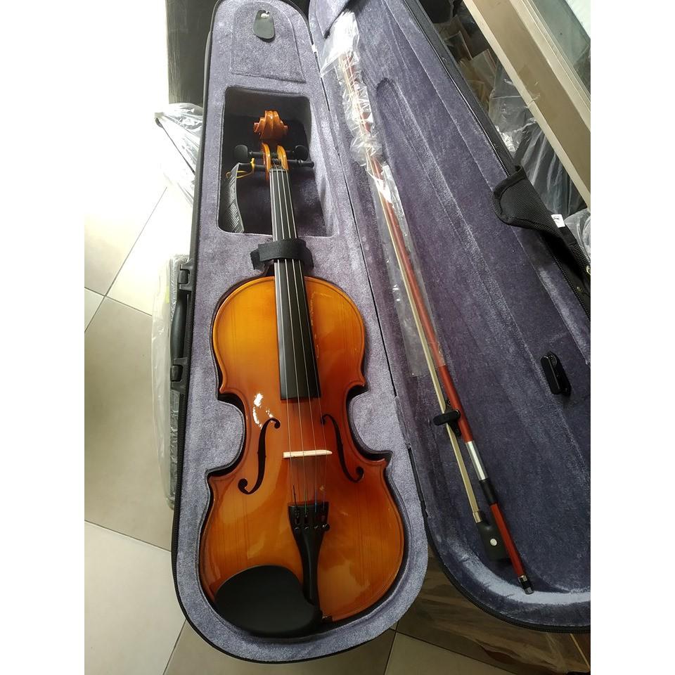 Đàn violin-đàn vĩ cầm