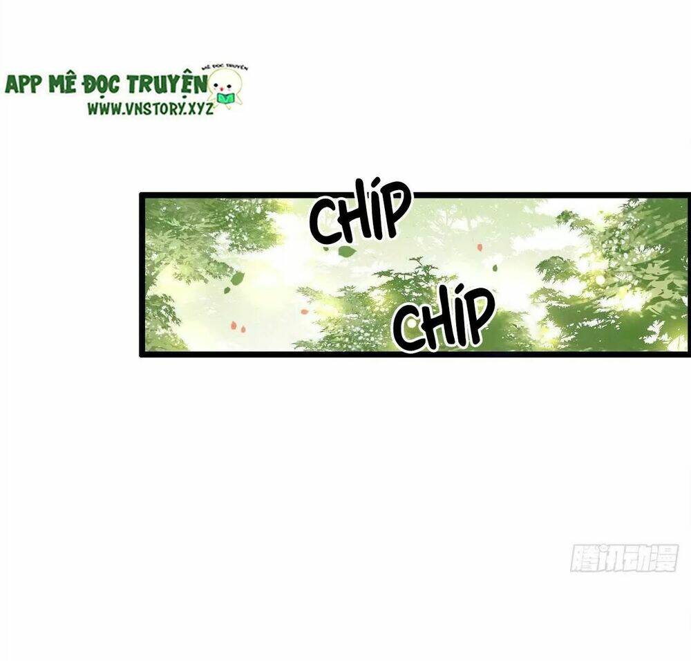 phượng hoàng vu phi chapter 98 10