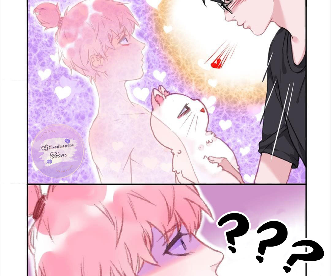 social cat chapter 1 68