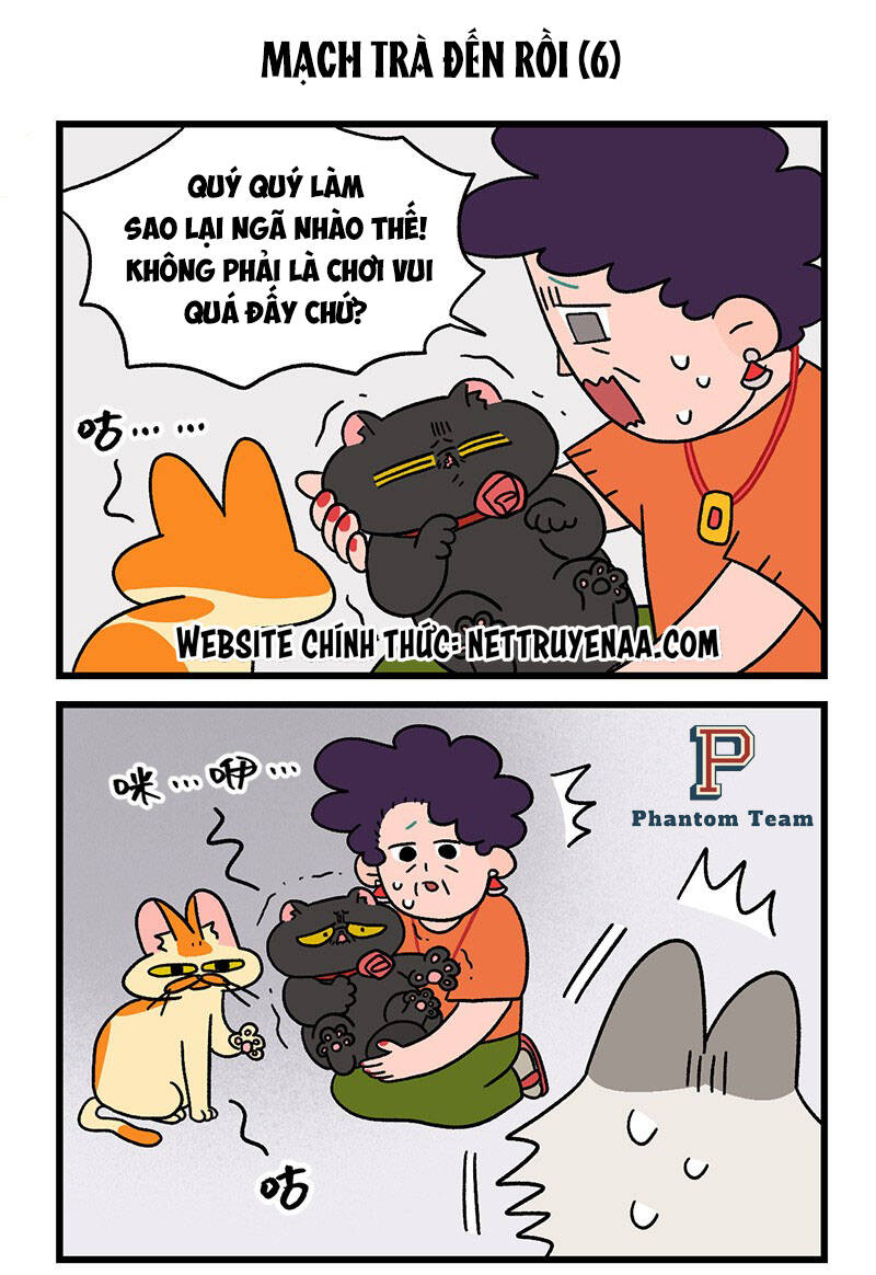 a mãn và mạch trà chapter 35.1 5