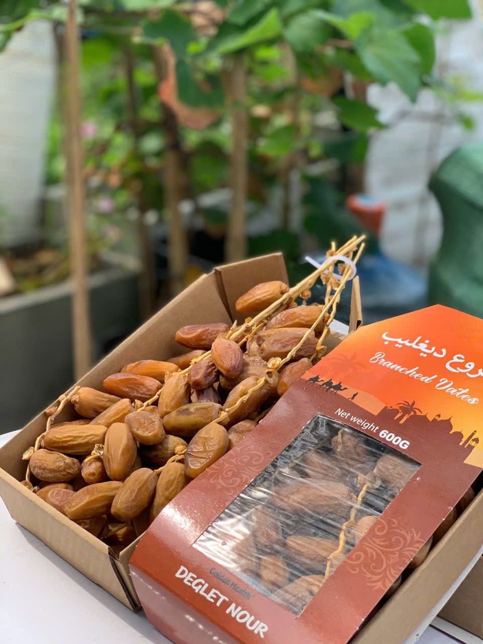 Chà Là Nguyên Cành Golden Health Deglet Nour 600gr