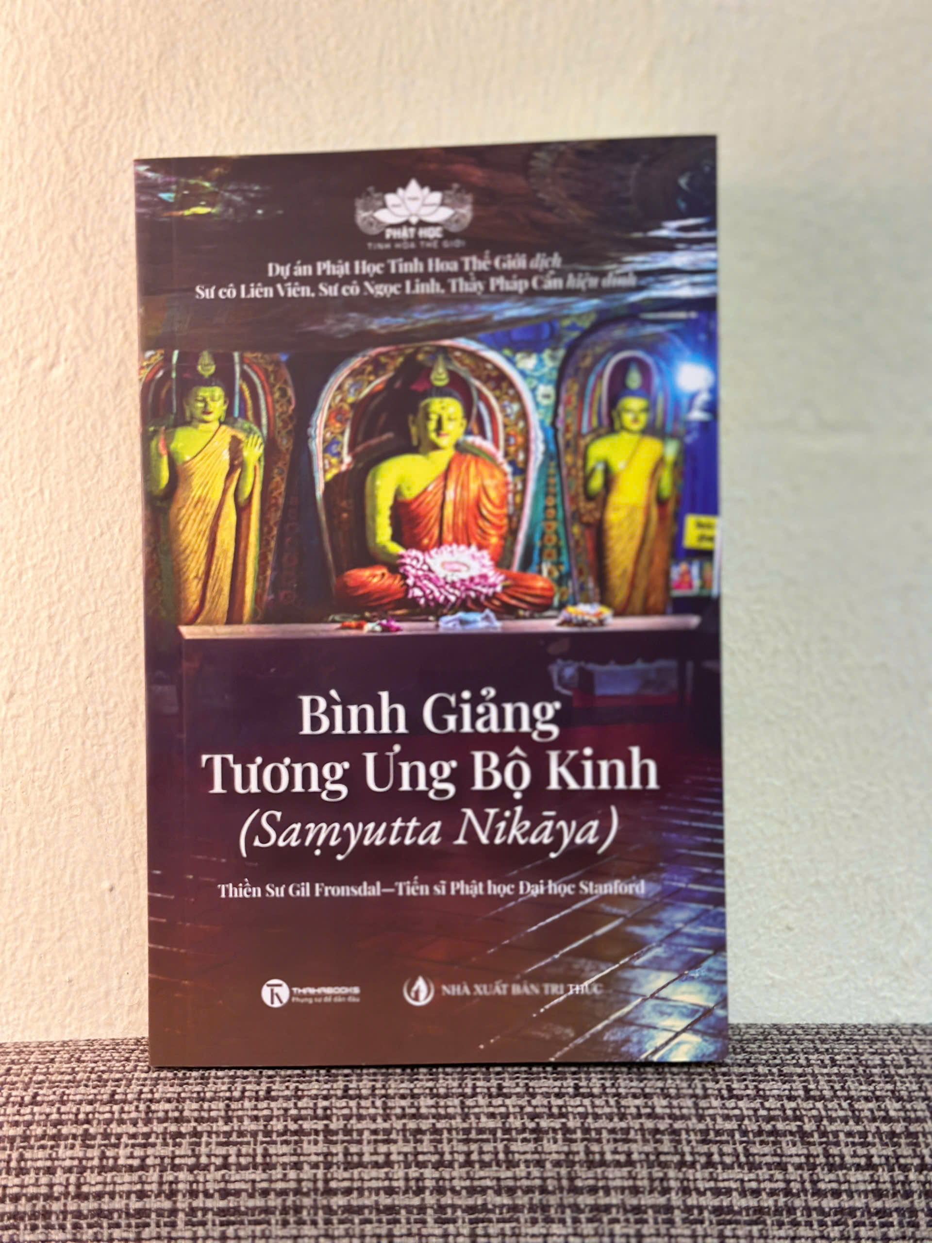 BÌNH GIẢNG TƯƠNG ƯNG BỘ KINH - Thiền sư Gil Fronsdal - NXB Tri Thức - Thái Hà Books