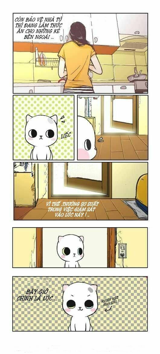 papi nyang chapter 1 6