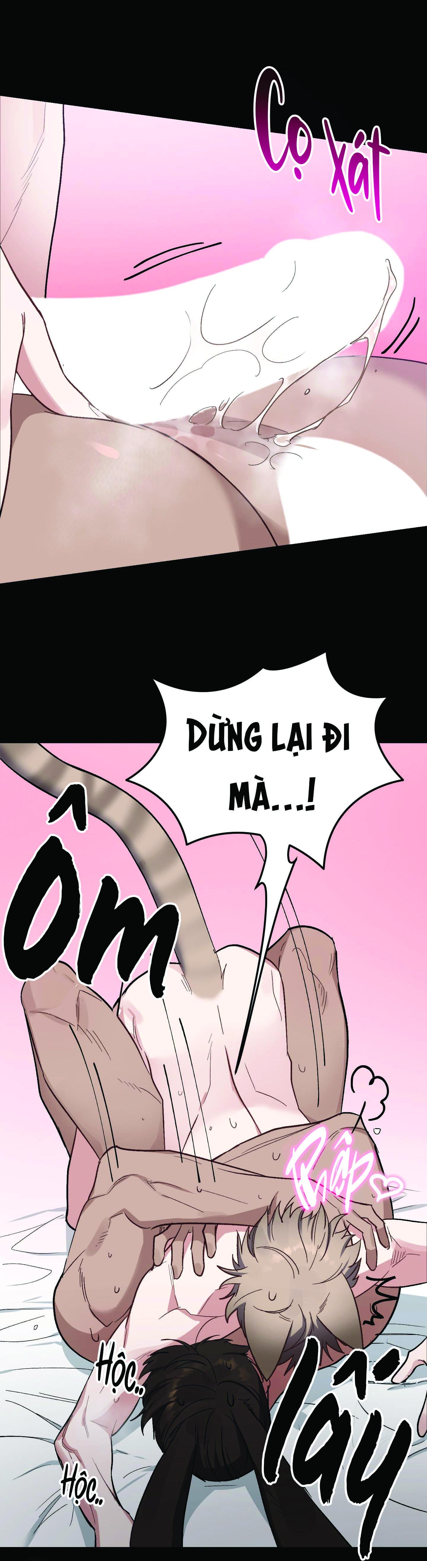 chú thỏ chỉ cần 3 giây là xuất tinh chapter 5 10